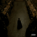 House Targaryen banner