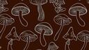 Fungi Forest Banner