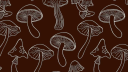 Fungi Forest Discord server banner