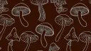 Fungi Forest server banner