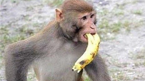 ragagoogey ™ Discord server banner