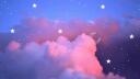 𝚃𝚑𝚎 𝙷𝚊𝚛𝚋𝚘𝚛 Banner