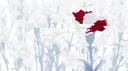 𝐉𝐮𝐭𝐬𝐮 𝐒𝐜𝐚𝐧  Banner