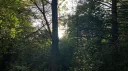 PA State Server Discord server banner