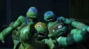 turtles >:3c banner