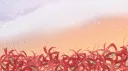 𑣲Hanami ✿ banner