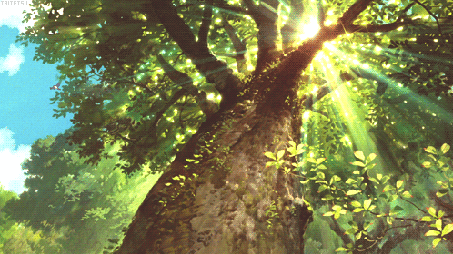 Sanctuary PK Discord server banner