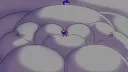 high blimps banner