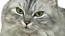 Hot's server banner
