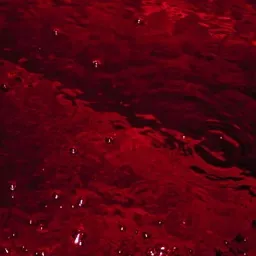Pogaduszki :P banner
