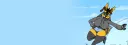 banner