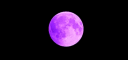 ✨Gwiazdki Luny banner