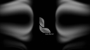 Lazy Banner