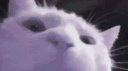 Kupo's Klub banner