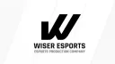 Wiser Esports banner