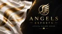 @ Angels eSports A.S.D.® banner