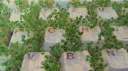 🍀 𓆣ִ ࣪⋆⭒The Terrarium˚。⋆𖦹🌱 Discord server banner