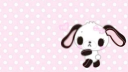 𝜗℘  ⁺  kiju    🎞    #icns server banner