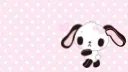 𝜗℘ ⁺ kiju 🎞 #icns banner
