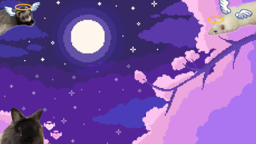 🖤🤍🖤🤍🖤 Discord server banner