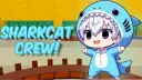 SharkCat banner
