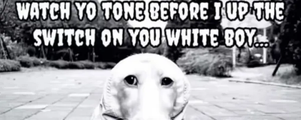 banner