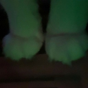 catto Discord server banner