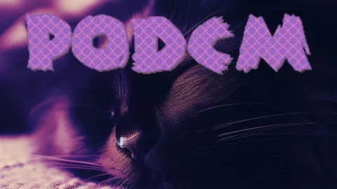 Plethora of Discord Cat Memes banner