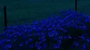 Ancel’s Optimization Hub banner
