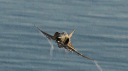 Heatblur Simulations Discord server banner