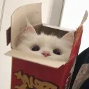 Fluffy box :3 banner