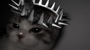 alien Discord server banner