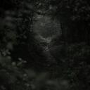 Yew Glade Banner