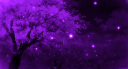 Modern’s Realm ✧ banner