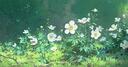 Clovers Banner