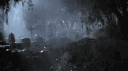 𓉸┆𝐓𝐡𝐞 𝐑𝐨𝐭┆𓉸 banner