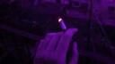 $Faded$ Banner