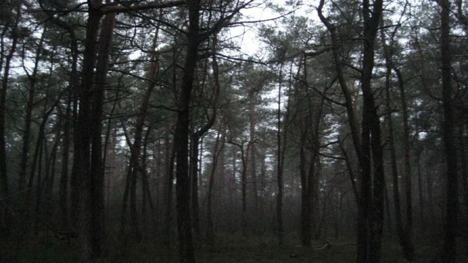 Harami Discord server banner