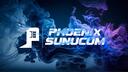 Phoenix Sunucum Teknolojileri Banner