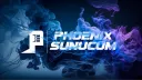 Phoenix Sunucum Teknolojileri banner