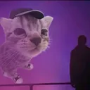 Бука-бака banner
