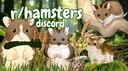 r/hamsters Banner