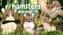 r/hamsters banner