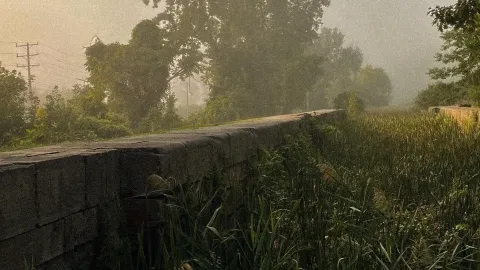 What Remains banner