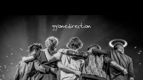 DIRECTIONERs banner