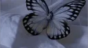 𝐋𝐨𝐬𝐭（Close） banner