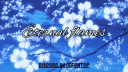 𝐒𝐓𝐀𝐑𝐊 𝐄𝐒𝐏𝐎𝐑𝐓𝐒> banner