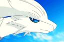 ●ℙ𝕆𝕂𝔼𝕄𝕆ℕ 𝕍𝔼𝕋𝕌ℕℕ𝔼 ℝ𝔼𝔾𝕀𝕆ℕ[750Membros]RP Banner