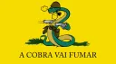 Kobras da Paradox banner