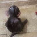 🩸MM2 TRADING🩸 Banner